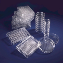 Picture of Cell Culture Dishes with thermosensitive UpCell&trade; Surface, PS