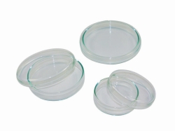 Picture of LLG-Petri dishes, soda-lime glass